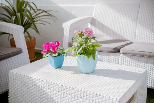 Apartamento Estella By Vive La Exclusividad