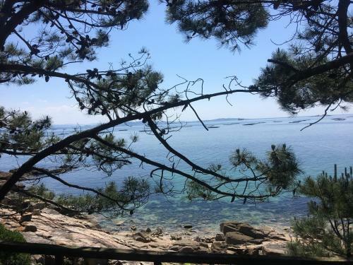 Kampaoh R�a De Arosa Playa