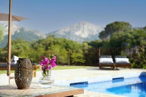Agroturismo Finca La Coma