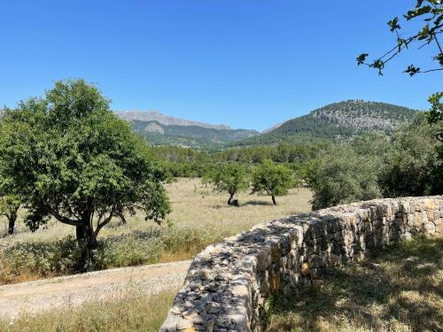 Villa Can Guillo Pollensa