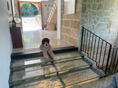 Villa Florida Luxury Villa With Huge Pool