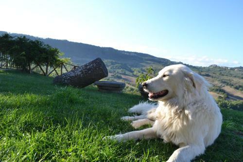 Agroturismo Agriturismo Lapone