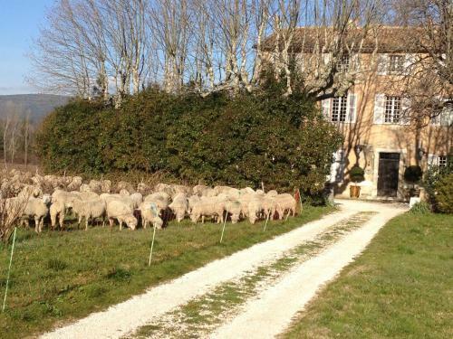 B&B Domaine Le Clos Du Pavillon