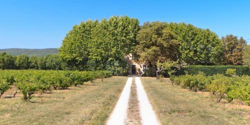 B&B Domaine Le Clos Du Pavillon