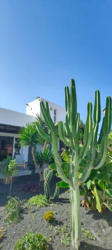 Villa Fedelian 2 Playa Blanca