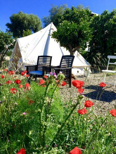 Glamping Bed And Breakfast Finca Alegria De La Vida