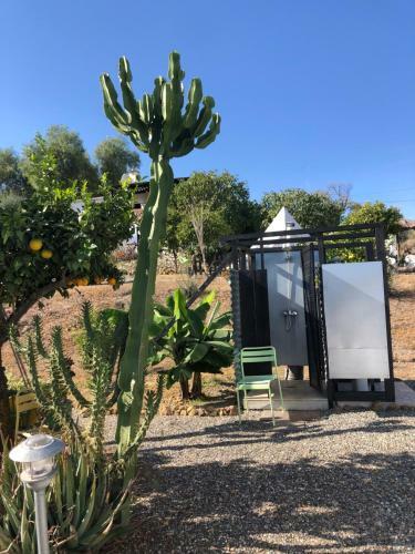 Glamping Bed And Breakfast Finca Alegria De La Vida