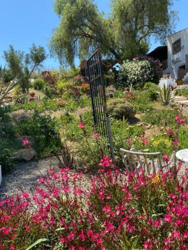 Glamping Bed And Breakfast Finca Alegria De La Vida
