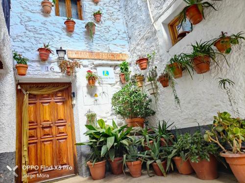 La Casa Rural De Paco Y Ana