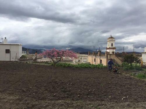 La Casa Rural De Paco Y Ana
