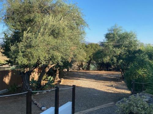 Apartamento La Casa Palmera - Caminito Del Rey