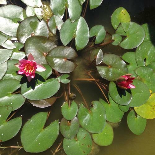 Bed & Breakfast Mas Florylege