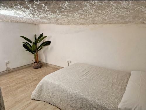Apartamento Preciosa Casa-cueva Con Jacuzzi