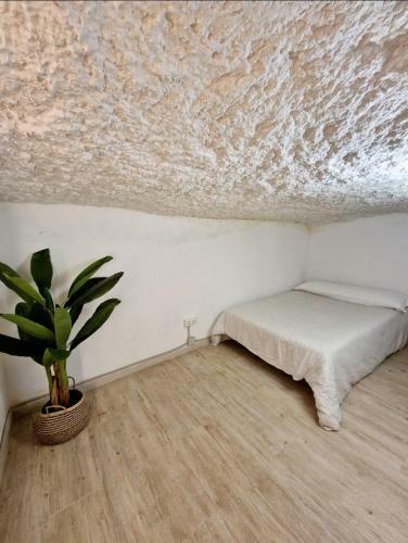 Apartamento Preciosa Casa-cueva Con Jacuzzi