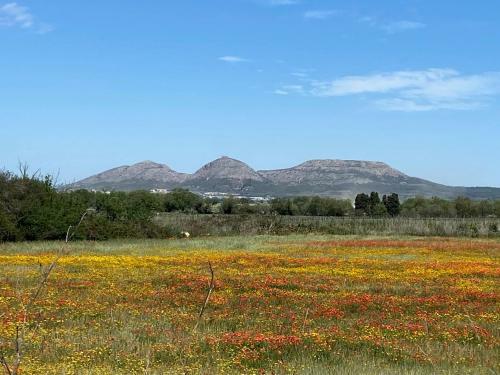 Torre Bertrana By Duquessa Hotel Collection