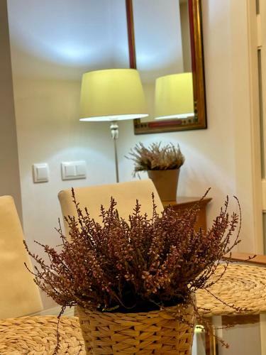 Apartamento Atico Al Lado Del Ayuntamiento