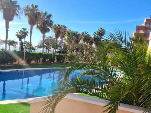 Apartamento Acapulco III N� 1152