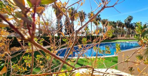 Apartamento Acapulco III N� 1152