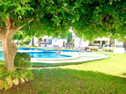 Apartment Flamenca , Orihuela Costa