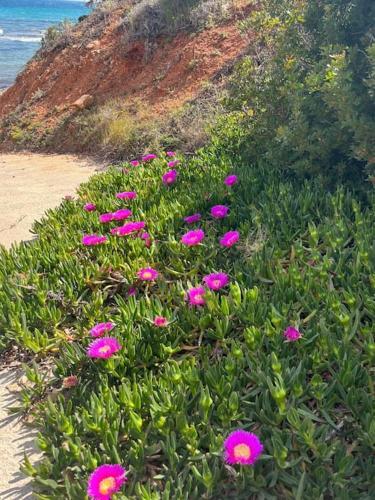 Casa Del Sol - Costa Blanca