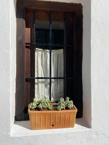 Acogedora Casa Rural En Olvera ,la Morada