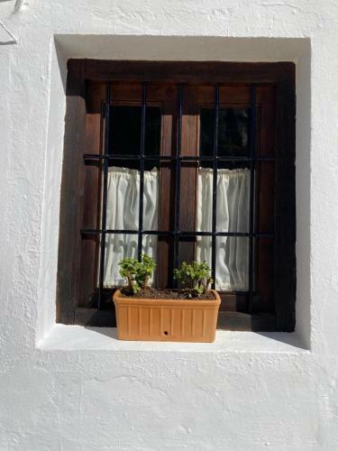 Acogedora Casa Rural En Olvera ,la Morada