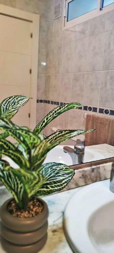 Apartamento Torresol 411