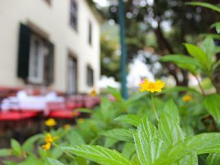 Bed & Breakfast Solar de Boaventura