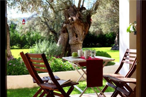 Apartamento Olivastro Villa