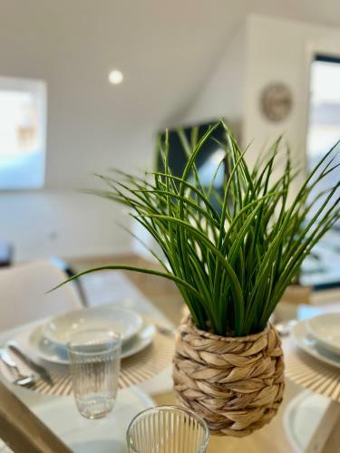 Apartamento Balnea Troncoso
