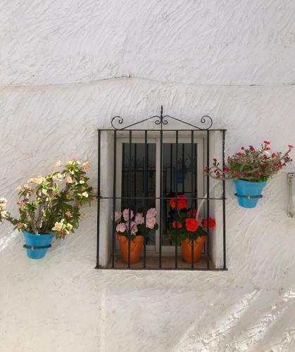 Apartamento Arya's Nest