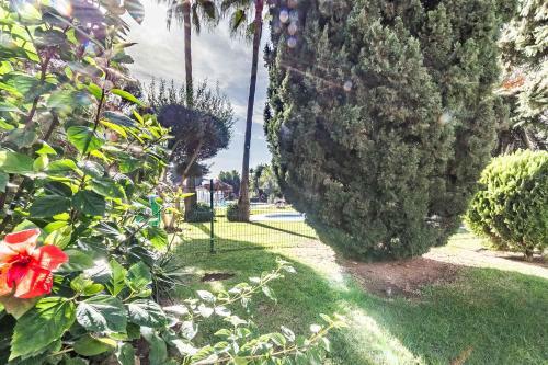 Apartamento Adarves De Calypso