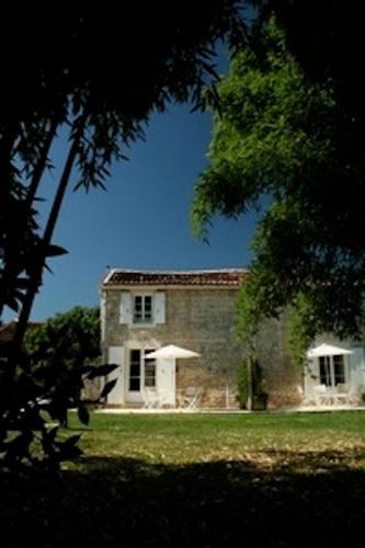 Bed & Breakfast La Maison Des Grands Bambous