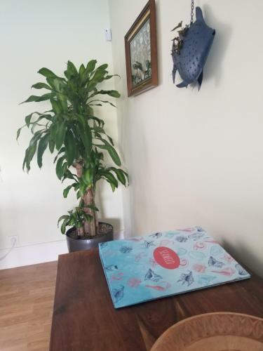 Apartamento D�plex Isthar Playa De Usil