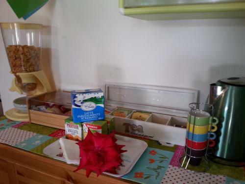 Casa Capudefigu