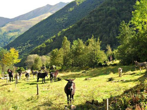 Camping Le Haut Salat