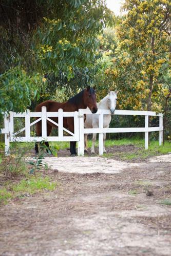 Hostal Herdade Monte Do Sol