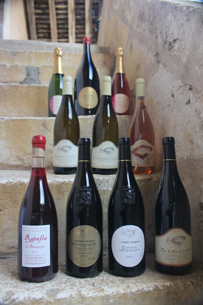 Hostal Domaine Borgnat