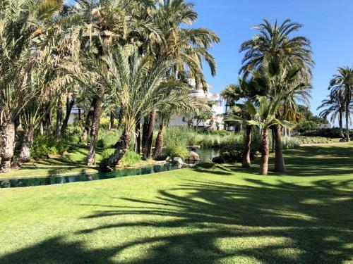 Apartamento Playas Del Duque - Puerto Ban�s - Marbella