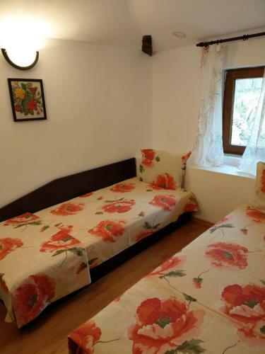 Hostal Vitanova Guest House