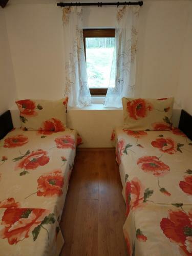 Hostal Vitanova Guest House
