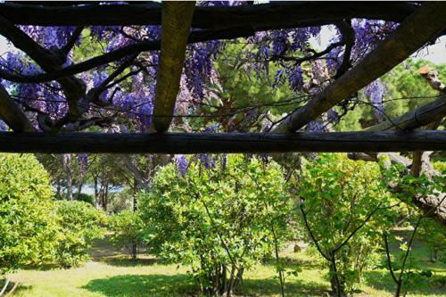 Bed & Breakfast Le� Souco