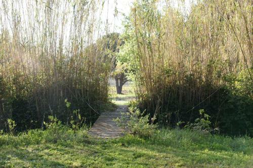 Bed & Breakfast Le� Souco