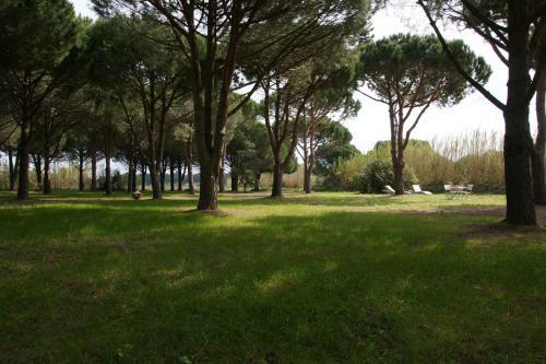 Bed & Breakfast Le� Souco