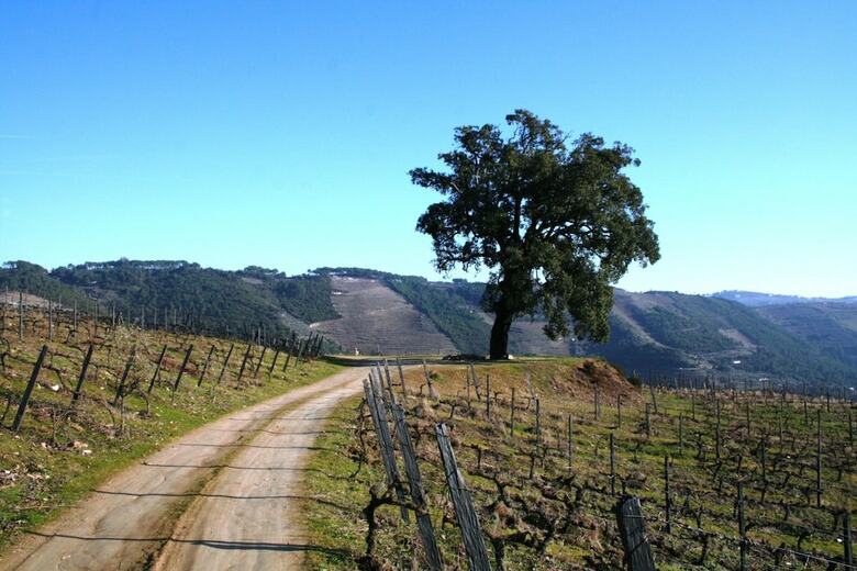 Agroturismo Quinta Da Cumieira