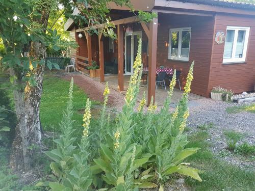 Apartamentos Les Dames De La Montagne