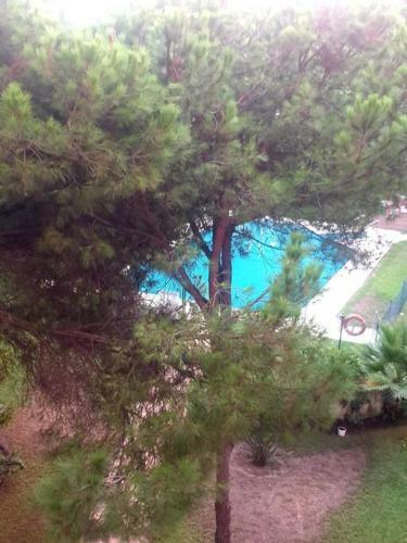 Precioso Estudio Con Piscina A 200m Del Mar