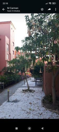 Fant�stico Apartamento Vft Ma 75455