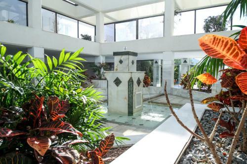 Apartamento Marbella Banus Suites - Banus Playa Rocio Beachfront Complex