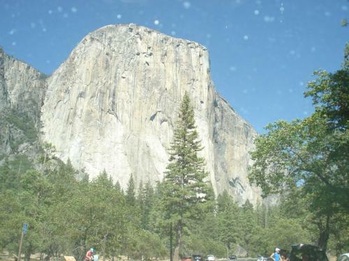 A Bed Of Roses